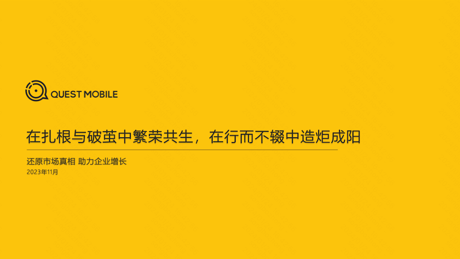 快手内容生态报告